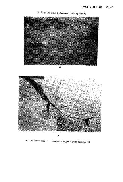 ГОСТ 21014-88 Прокат черных металлов. Термины и определения дефектов поверхности (фото 48 из 62)