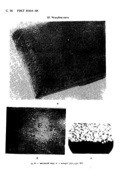 ГОСТ 21014-88 Прокат черных металлов. Термины и определения дефектов поверхности (фото 57 из 62)