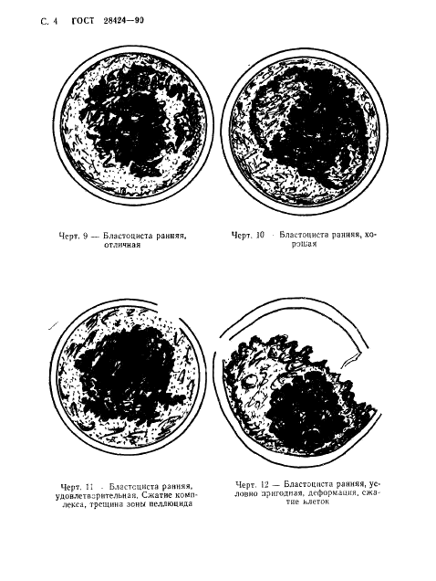 ГОСТ 28424-90 Эмбрионы крупного рогатого скота. Технические условия (фото 5 из 17)