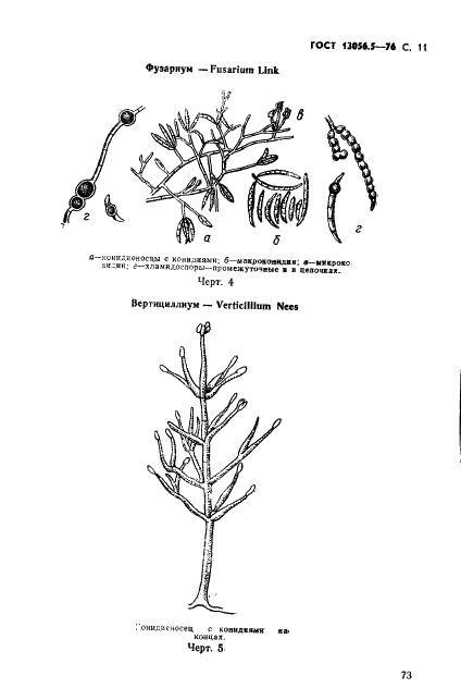 ГОСТ 13056.5-76 Семена деревьев и кустарников. Методы фитопатологического анализа (фото 11 из 24)