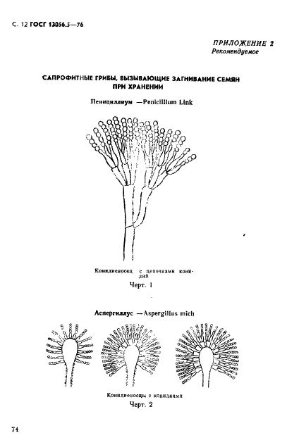 ГОСТ 13056.5-76 Семена деревьев и кустарников. Методы фитопатологического анализа (фото 12 из 24)