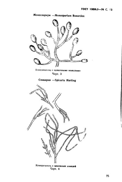 ГОСТ 13056.5-76 Семена деревьев и кустарников. Методы фитопатологического анализа (фото 13 из 24)