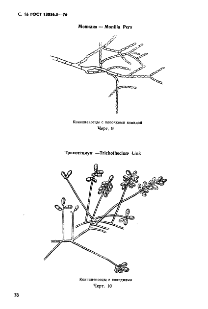 ГОСТ 13056.5-76 Семена деревьев и кустарников. Методы фитопатологического анализа (фото 16 из 24)