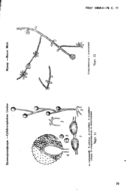 ГОСТ 13056.5-76 Семена деревьев и кустарников. Методы фитопатологического анализа (фото 17 из 24)