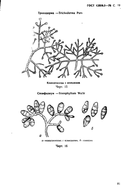 ГОСТ 13056.5-76 Семена деревьев и кустарников. Методы фитопатологического анализа (фото 19 из 24)