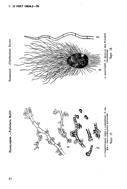 ГОСТ 13056.5-76 Семена деревьев и кустарников. Методы фитопатологического анализа (фото 20 из 24)