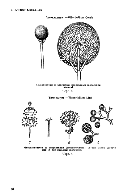 ГОСТ 13056.5-76 Семена деревьев и кустарников. Методы фитопатологического анализа (фото 22 из 24)