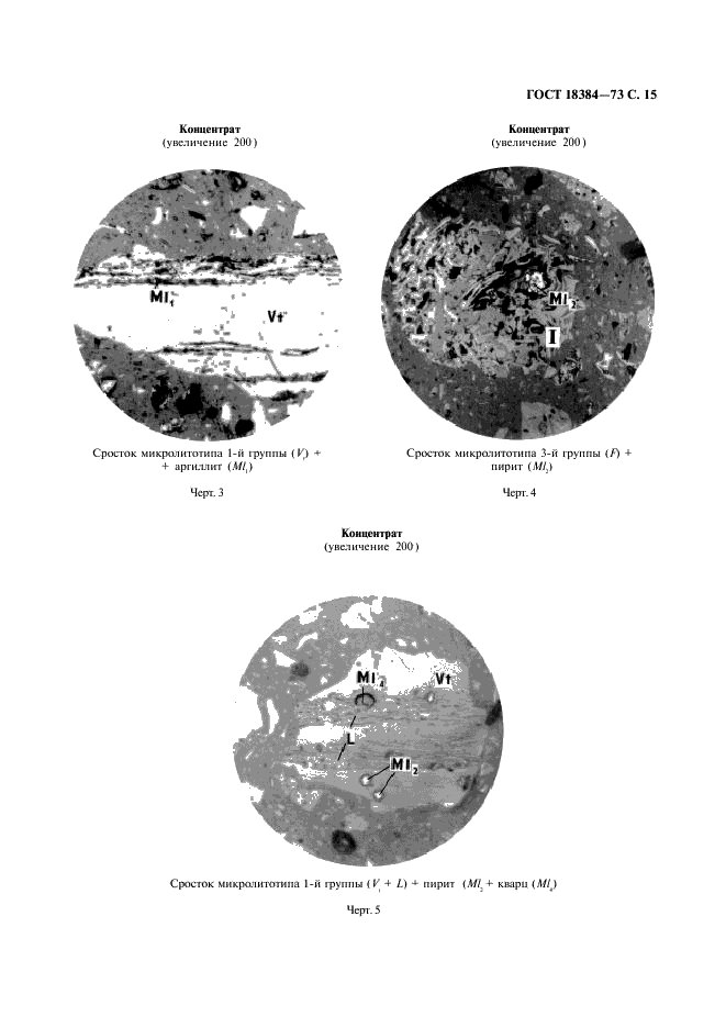 ГОСТ 18384-73 Угли каменные. Петрографический метод определения степени обогатимости (фото 16 из 26)