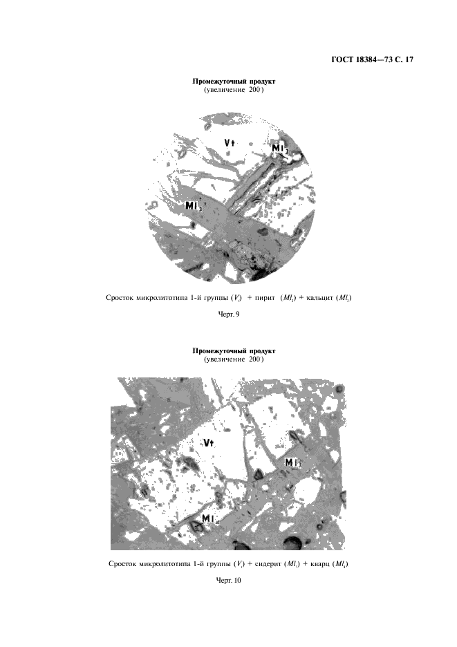 ГОСТ 18384-73 Угли каменные. Петрографический метод определения степени обогатимости (фото 18 из 26)