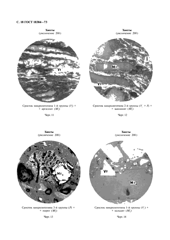ГОСТ 18384-73 Угли каменные. Петрографический метод определения степени обогатимости (фото 19 из 26)