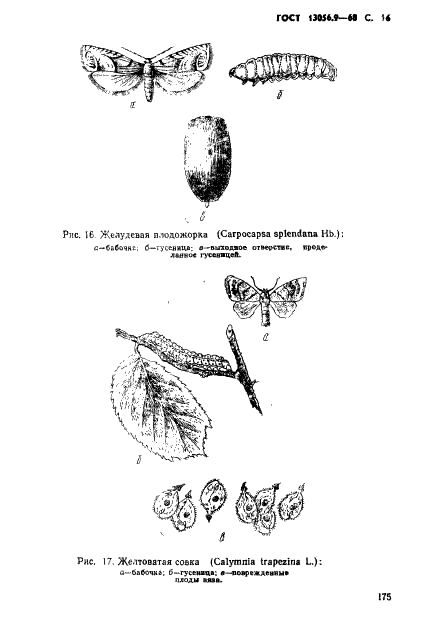 ГОСТ 13056.9-68 Семена деревьев и кустарников. Методы энтомологической экспертизы (фото 16 из 19)